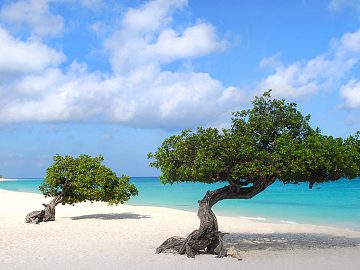 Zdjęcie kierunku: Aruba